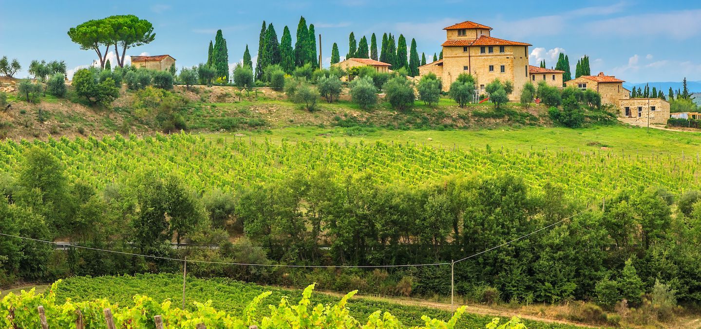 Ultimate Guide To the Tuscany Wine Region
