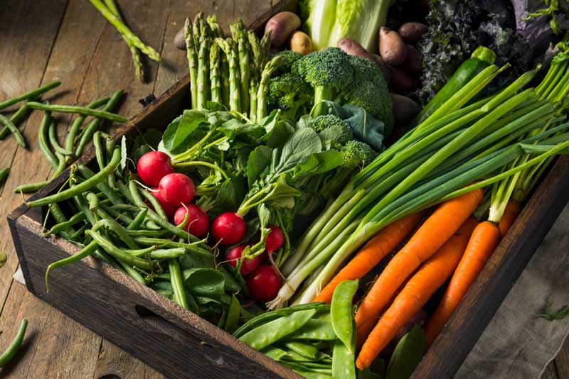 28 Best & Fun Things to Do in Athens (Ohio) The Tourist Checklist