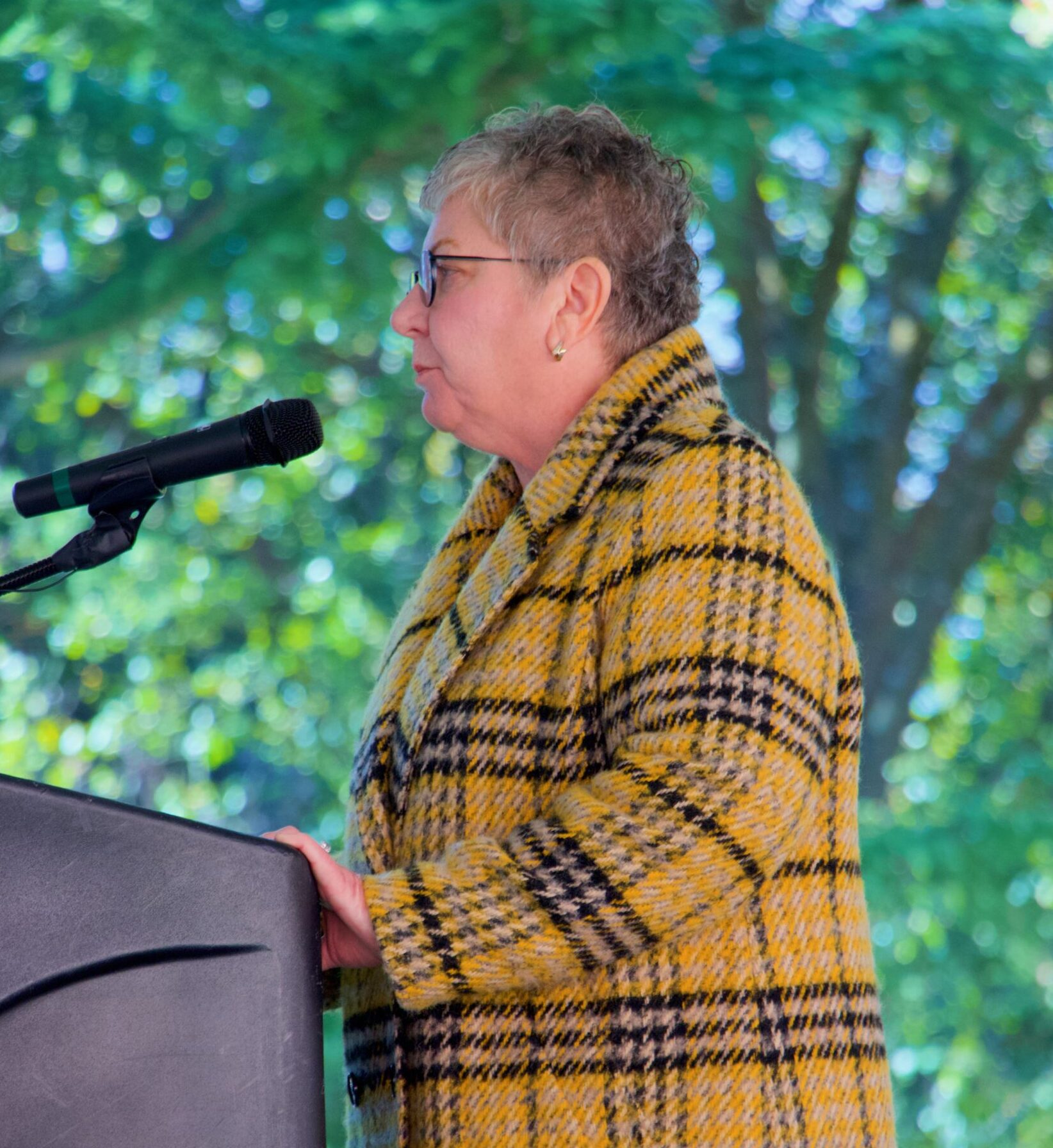 Explainer how the University System of Maryland replaces a president