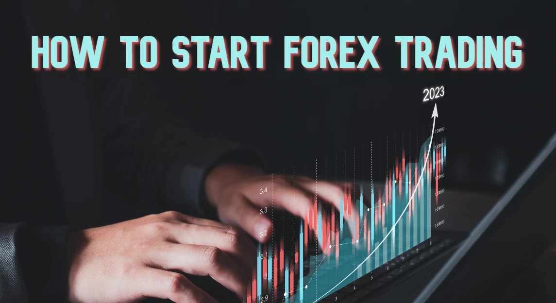 Trading Education Learn Strategies and Techniques The Trading Bay