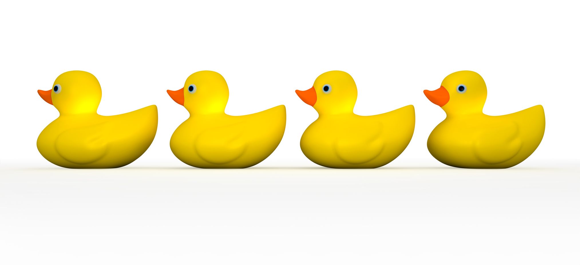 duck row The Training Network