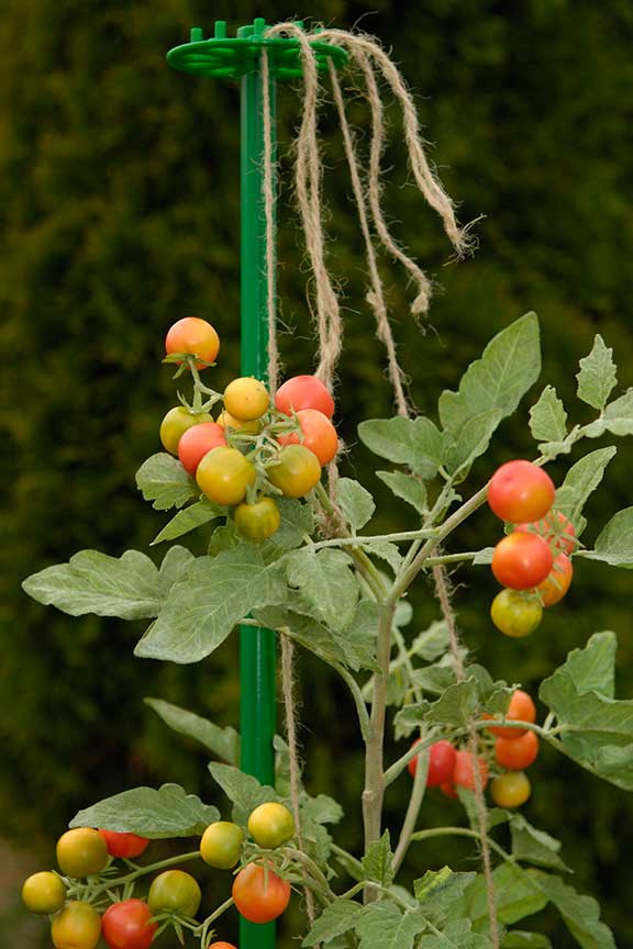 The Training Wheel Plant Support System