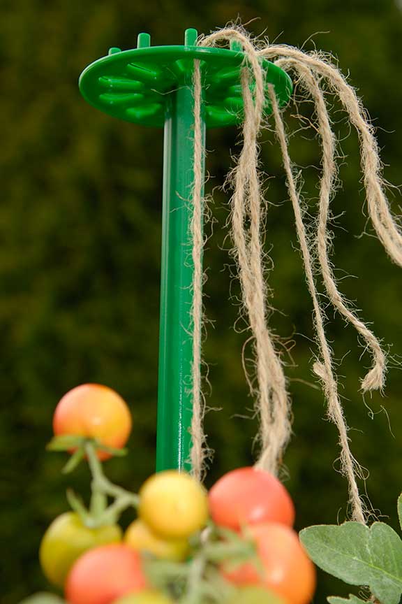 The Training Wheel Plant Support System