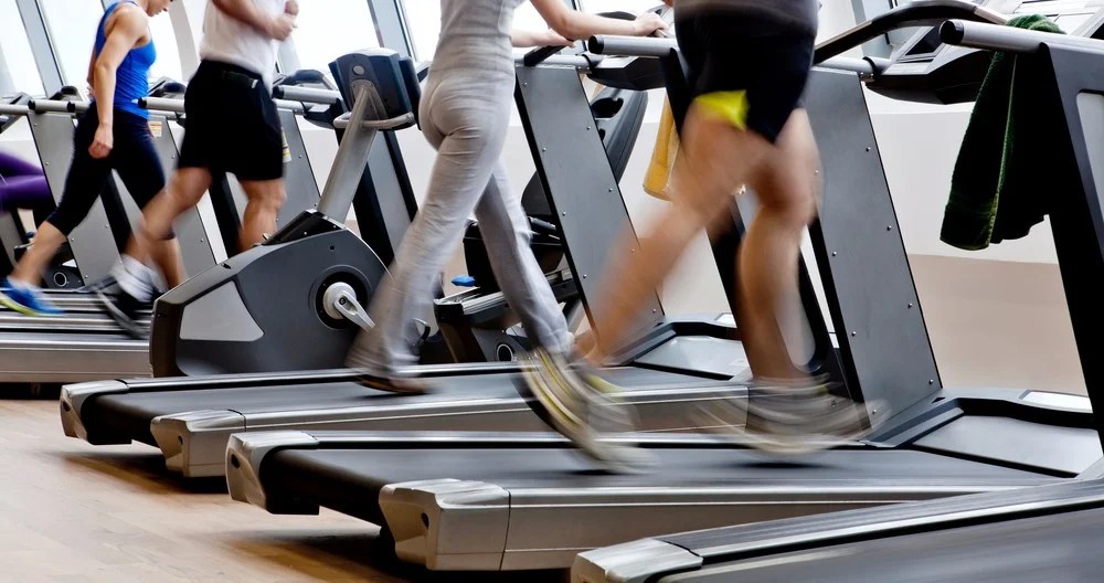 5 Fitness Myths You Should Know Before You Go To The Gym The Transformer