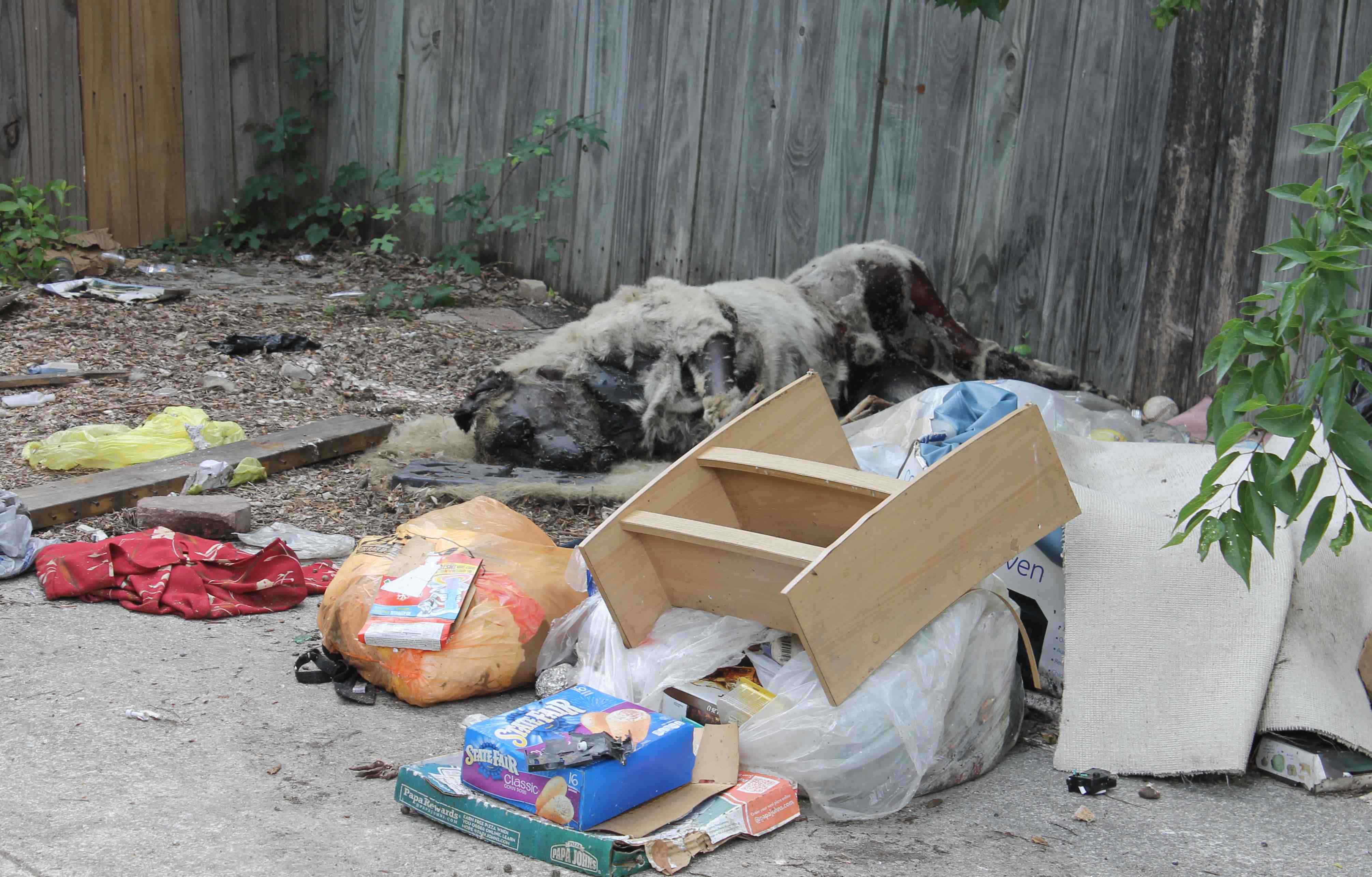 dog carcass The Trash Blog