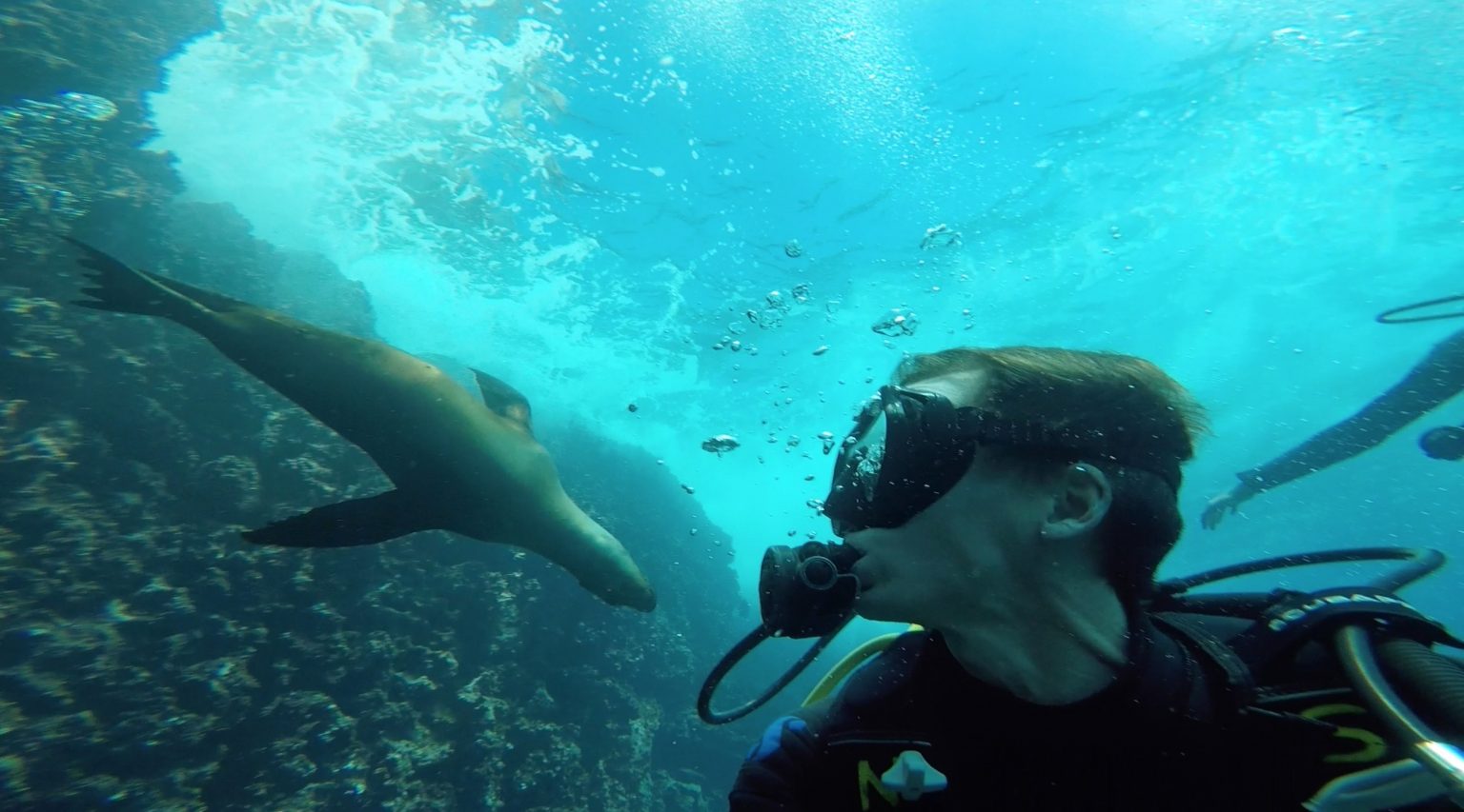 SWIMMING WITH SHARKS IN THE GALAPAGOS The Travel Fugitive
