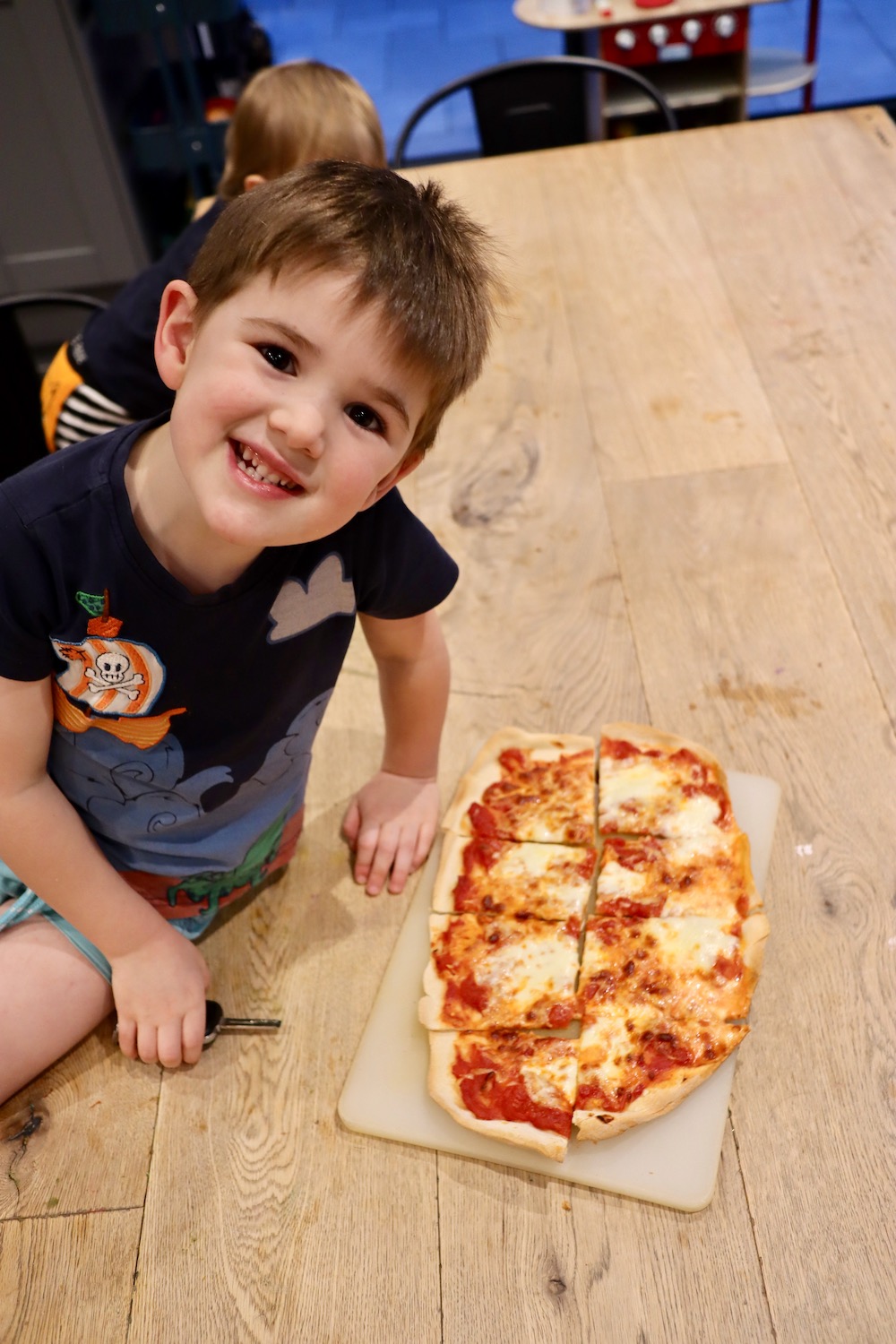 Making Pizza Dough In A Panasonic Bread Maker at Christopher Burgos blog