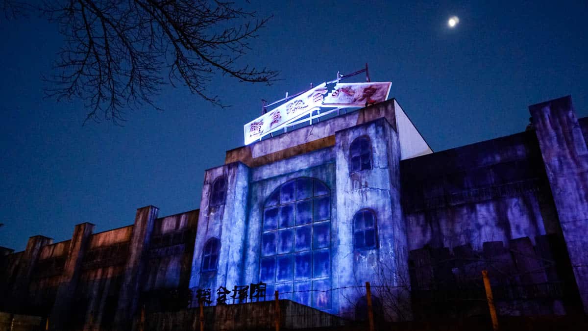 The Best Roller Coasters in Japan Most Tourists Miss