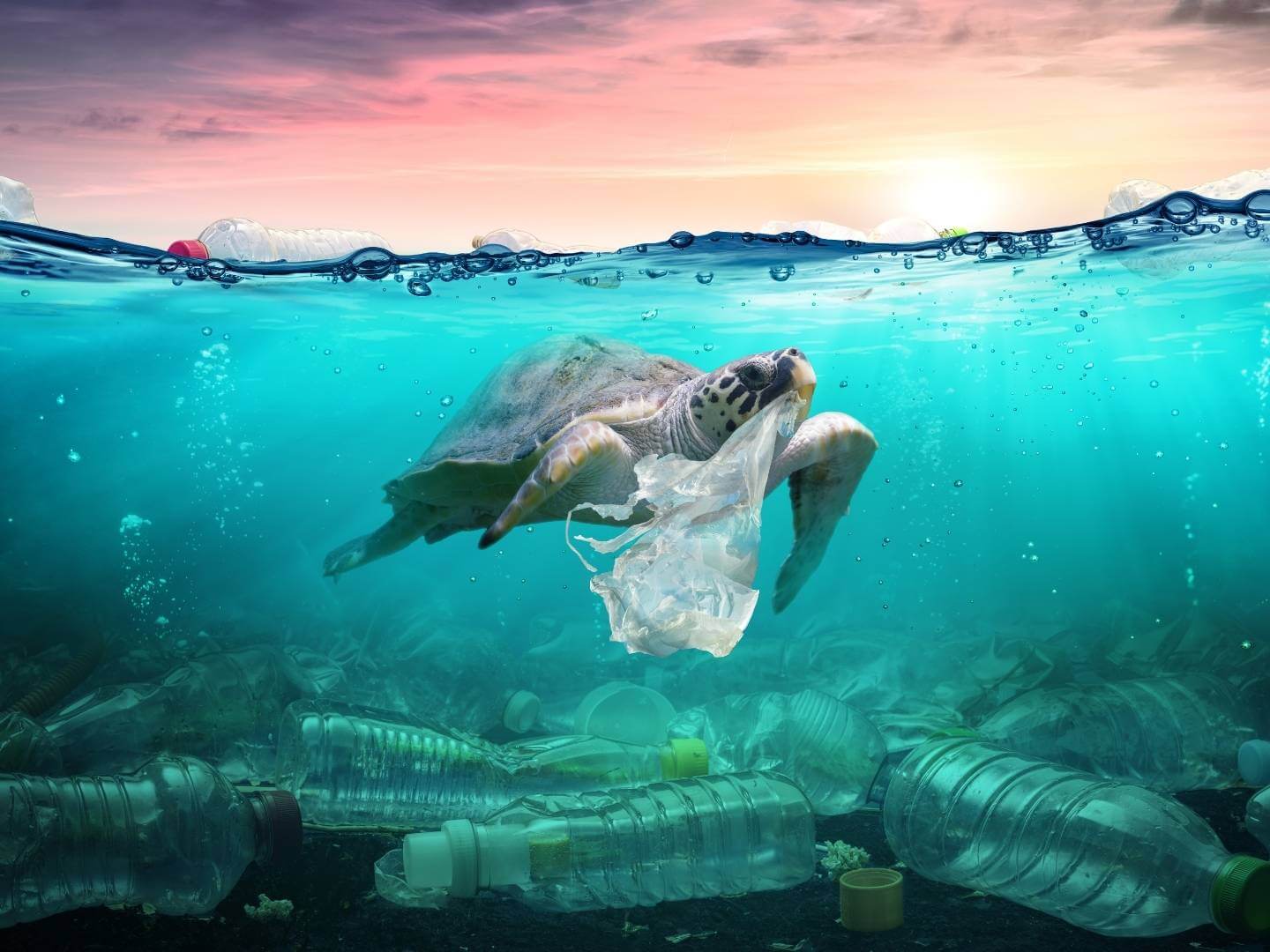 The Best EcoFriendly Luxury Hotels With Thoughtful Sustainability