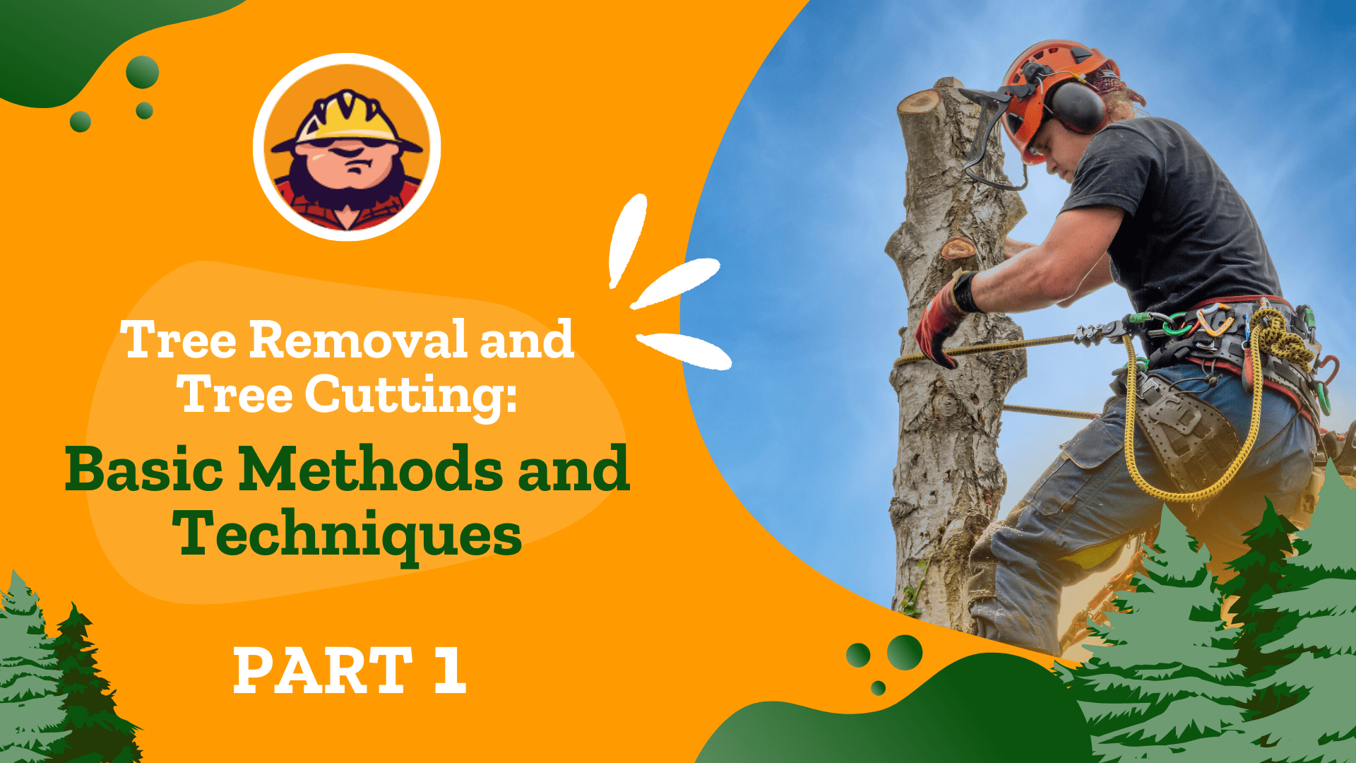 Tree Removal And Tree Cutting Basic Methods And Techniques