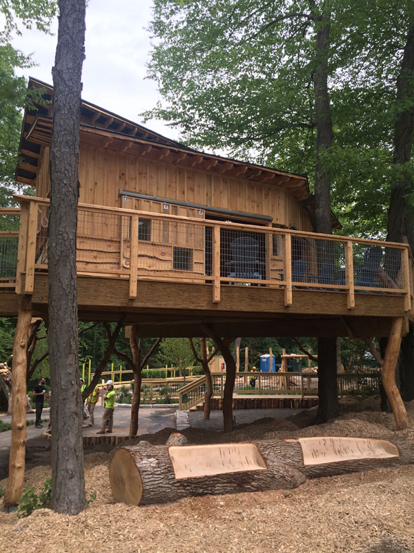 Discovery Museum The Treehouse Guys, LLC