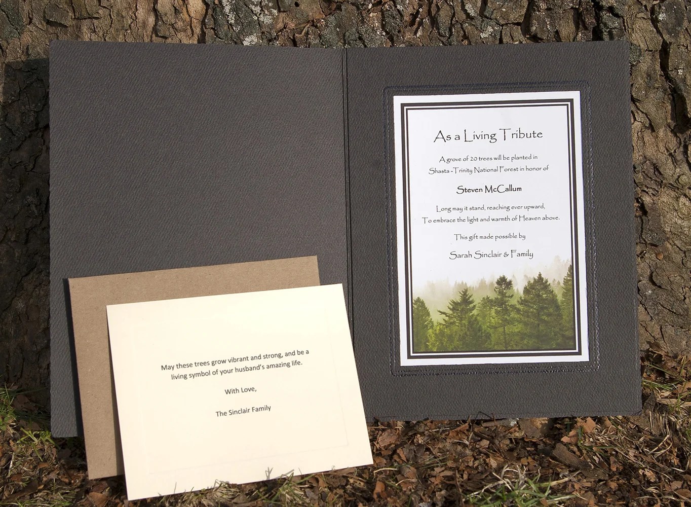 Memorial Trees Planted in US National Forests For You