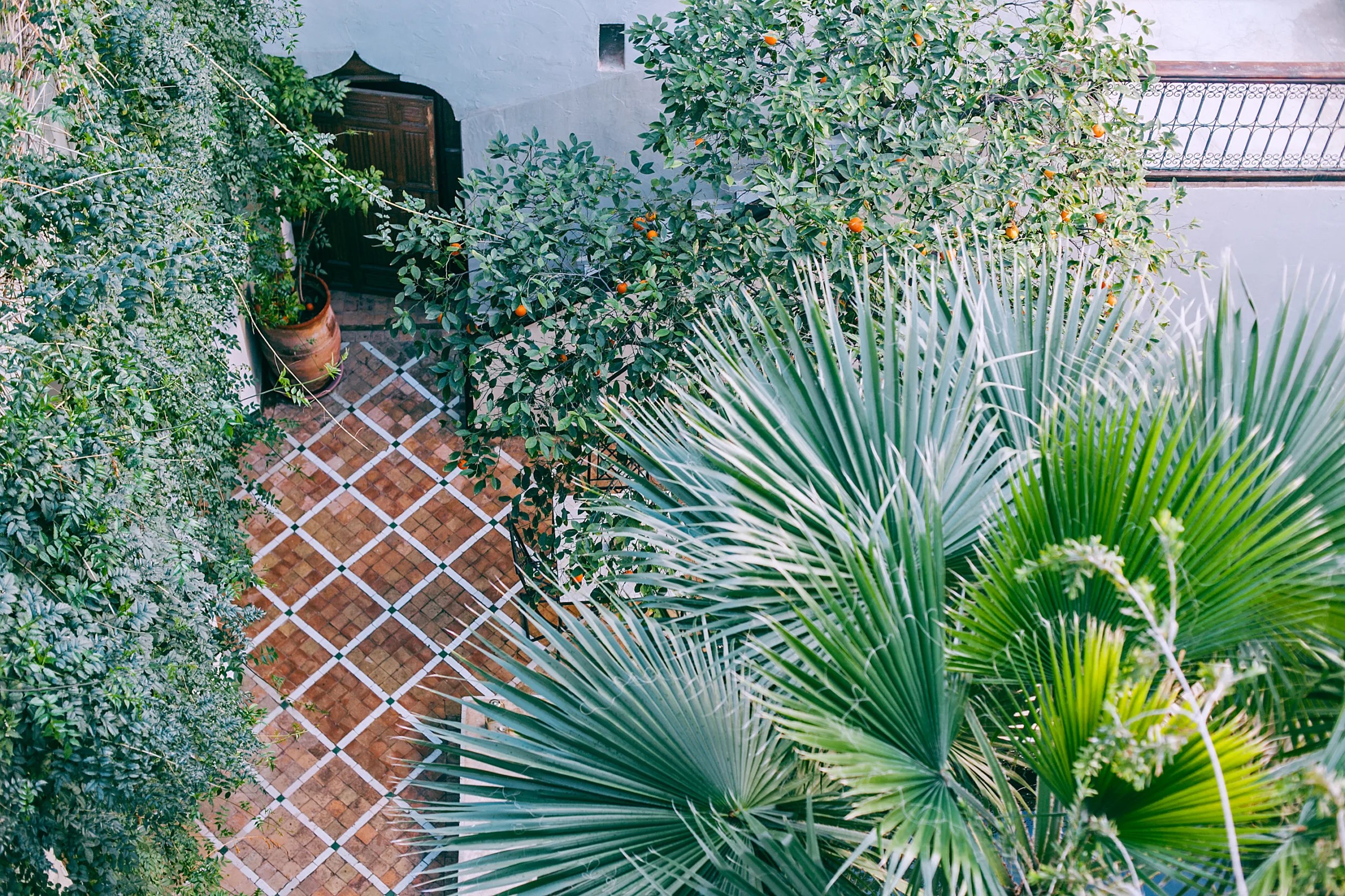 How Long Does It Take To Plant An Acre Of Trees