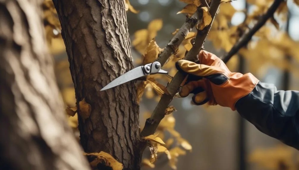 The Best Pruning Techniques For Hickory Trees