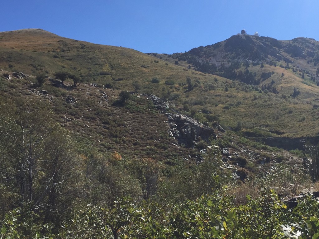 Bair Canyon Fruit Heights Utah The Trek Planner