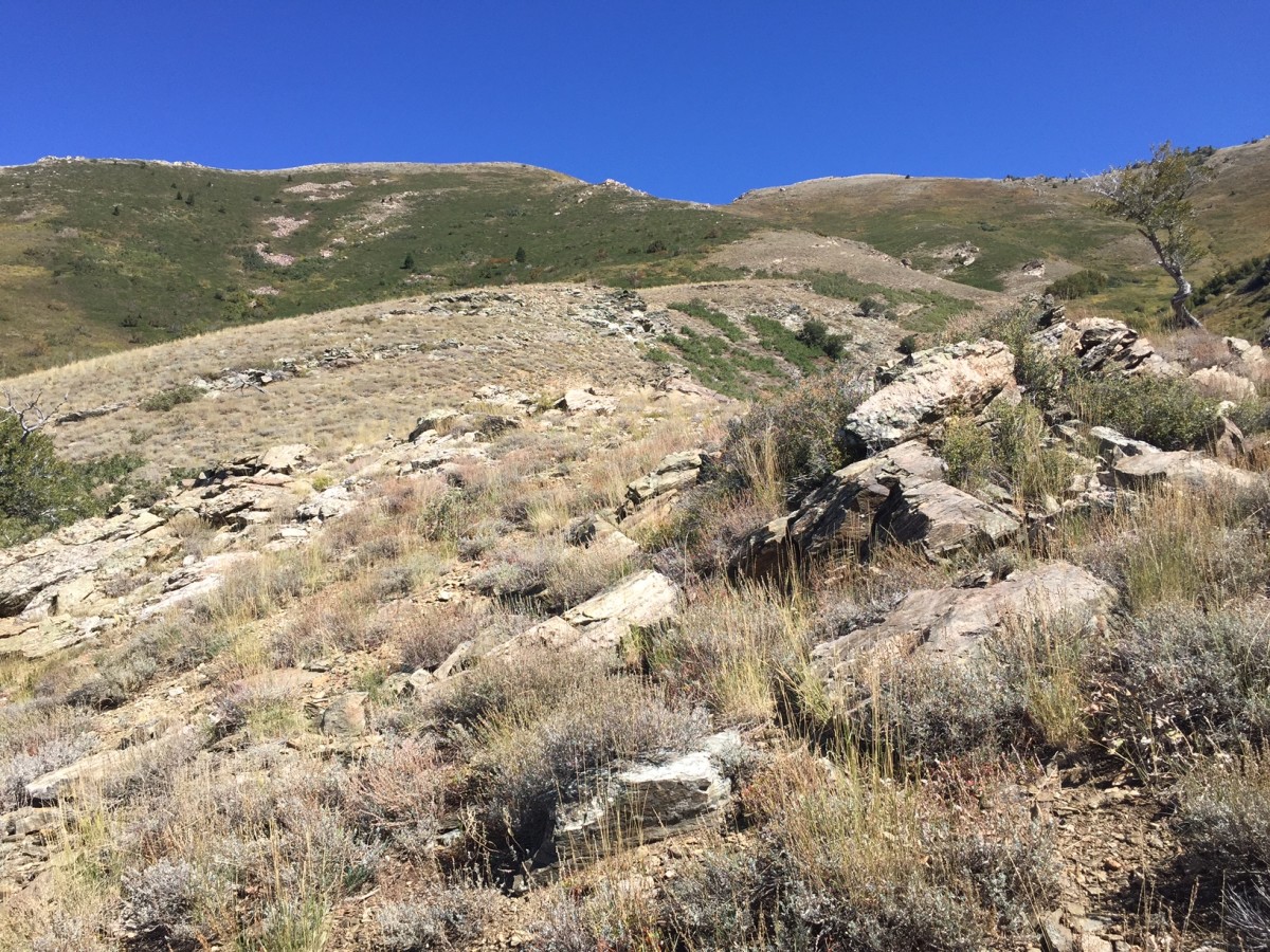 Bair Canyon Fruit Heights Utah The Trek Planner