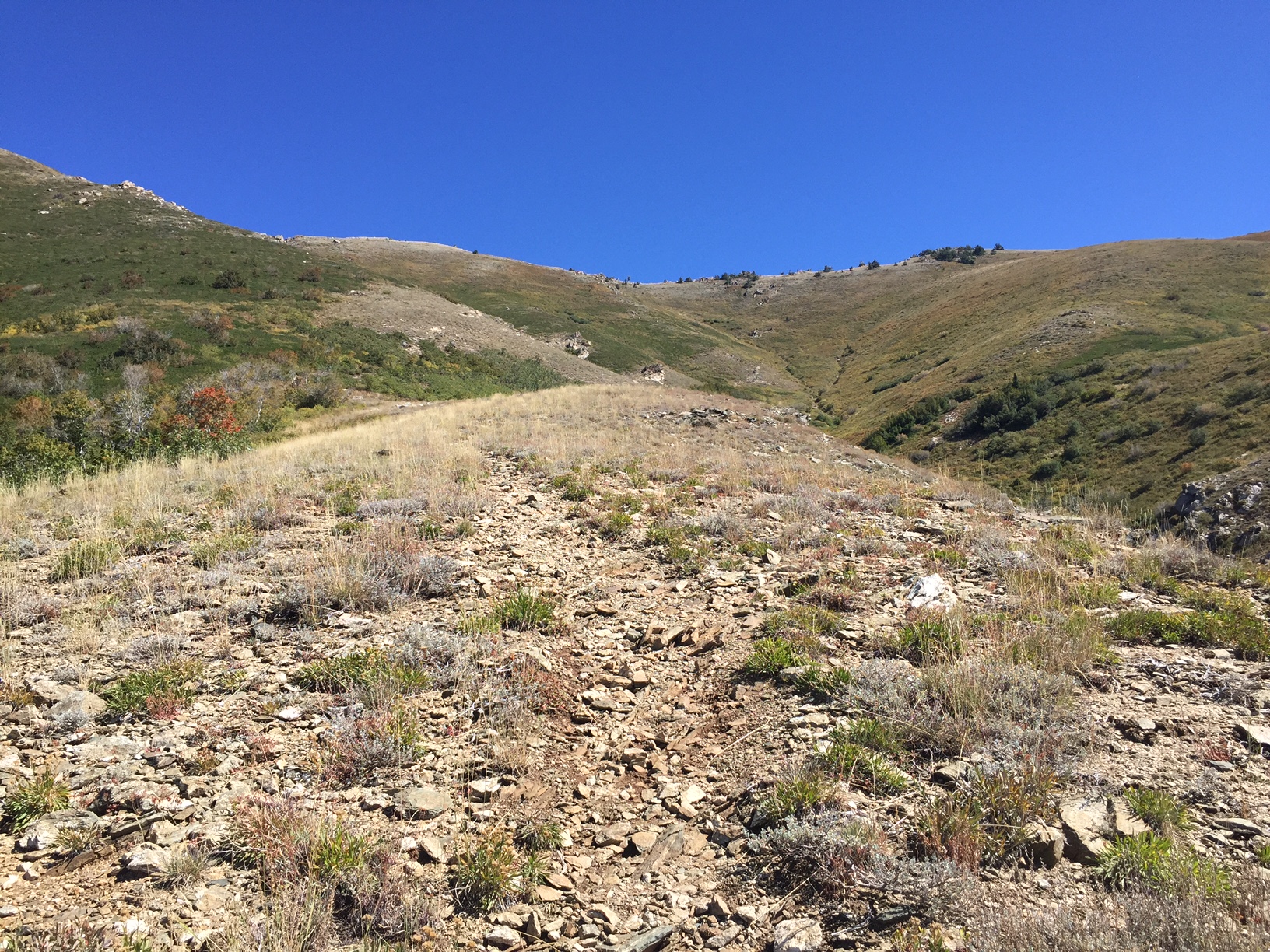 Bair Canyon Fruit Heights Utah The Trek Planner