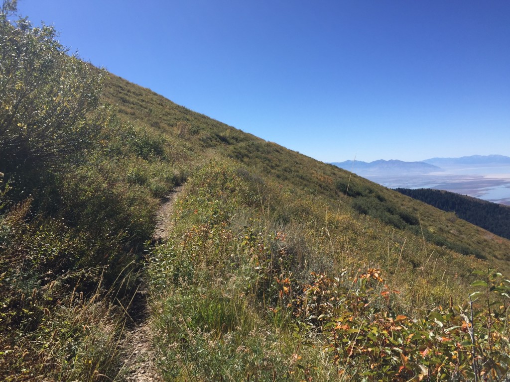 Bair Canyon Fruit Heights Utah The Trek Planner