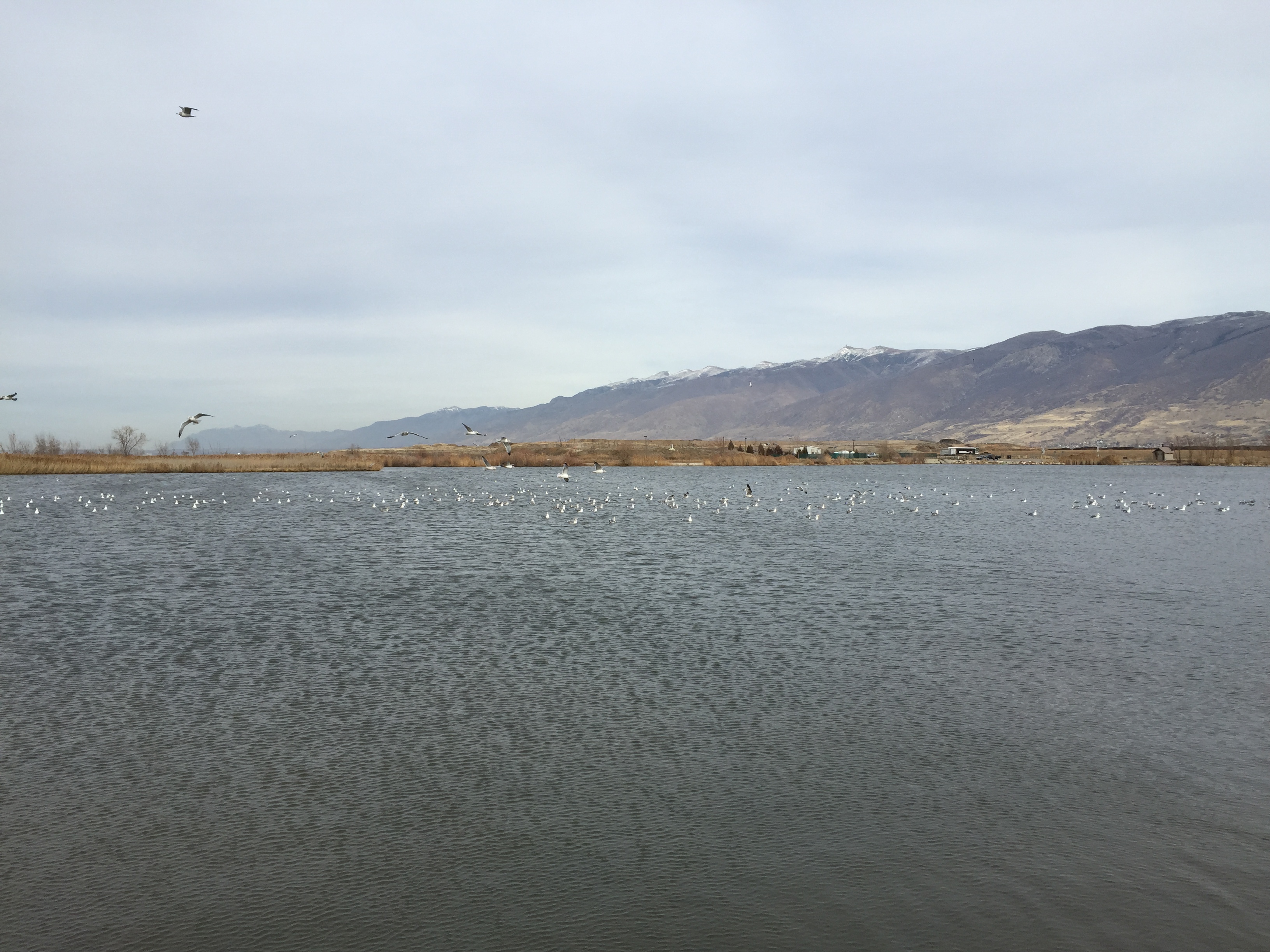 Bountiful Pond Bountiful Utah The Trek Planner