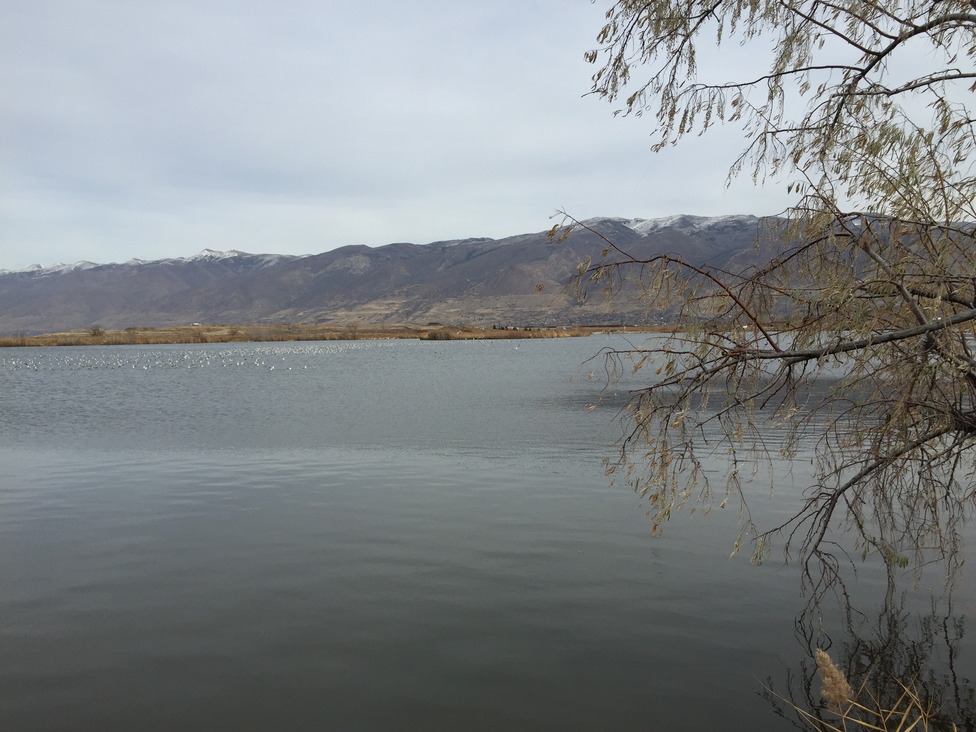 Bountiful Lake Bountiful Utah The Trek Planner