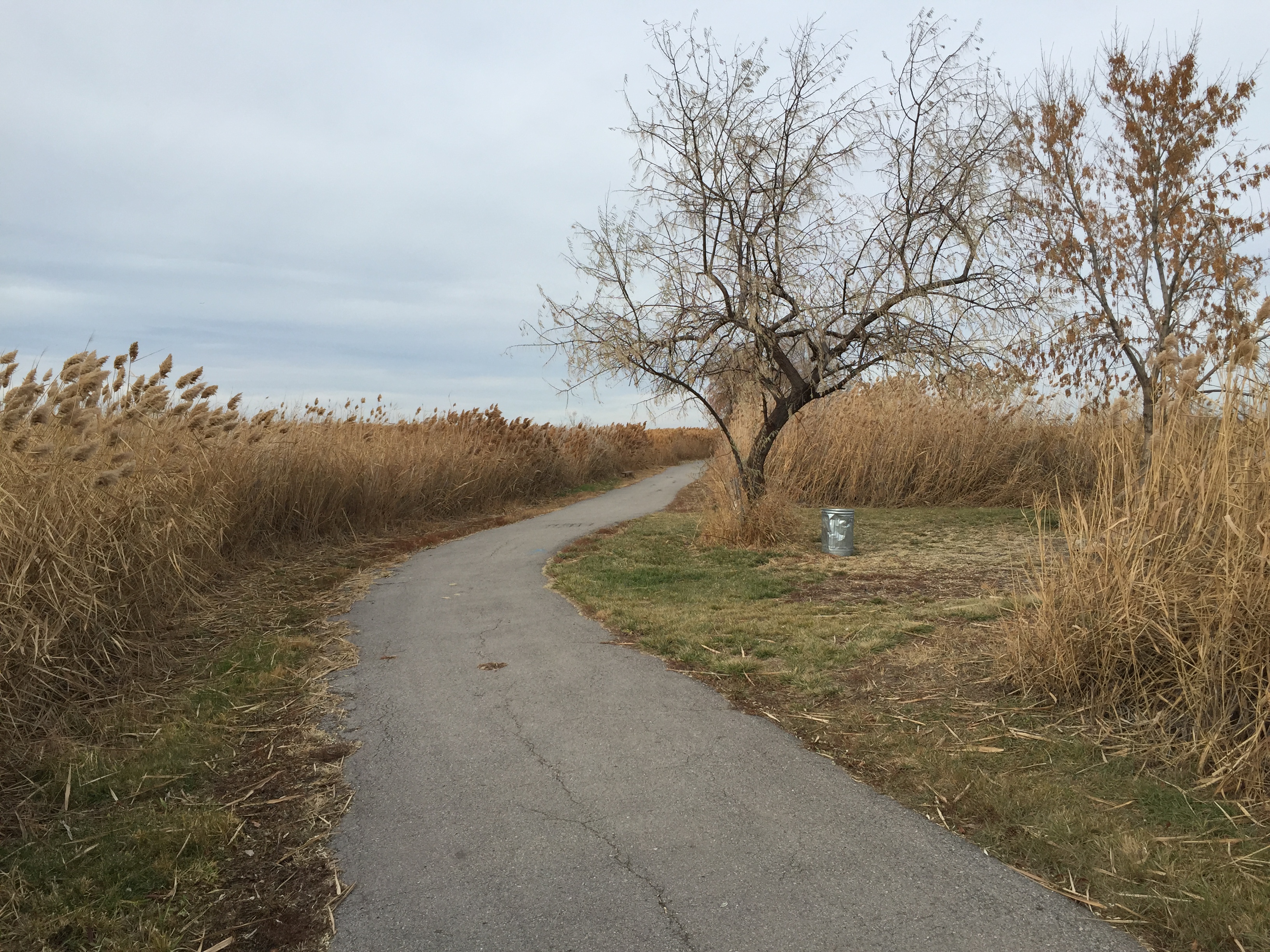 Bountiful Pond Bountiful Utah The Trek Planner