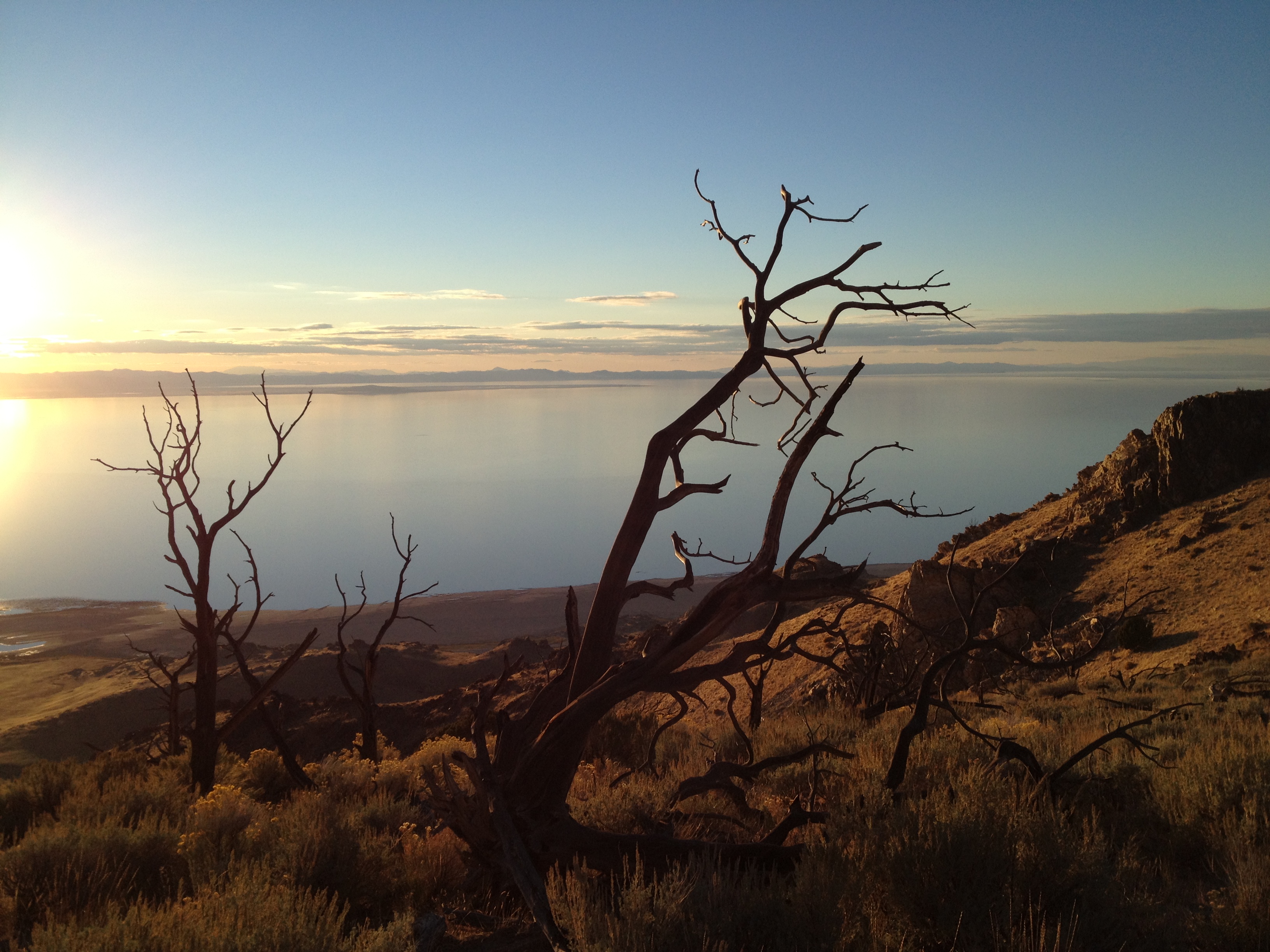 Antelope Island State Park The Trek Planner