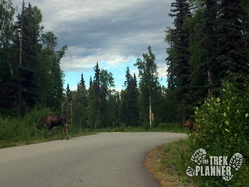 Byers Lake Denali State Park Alaska The Trek Planner