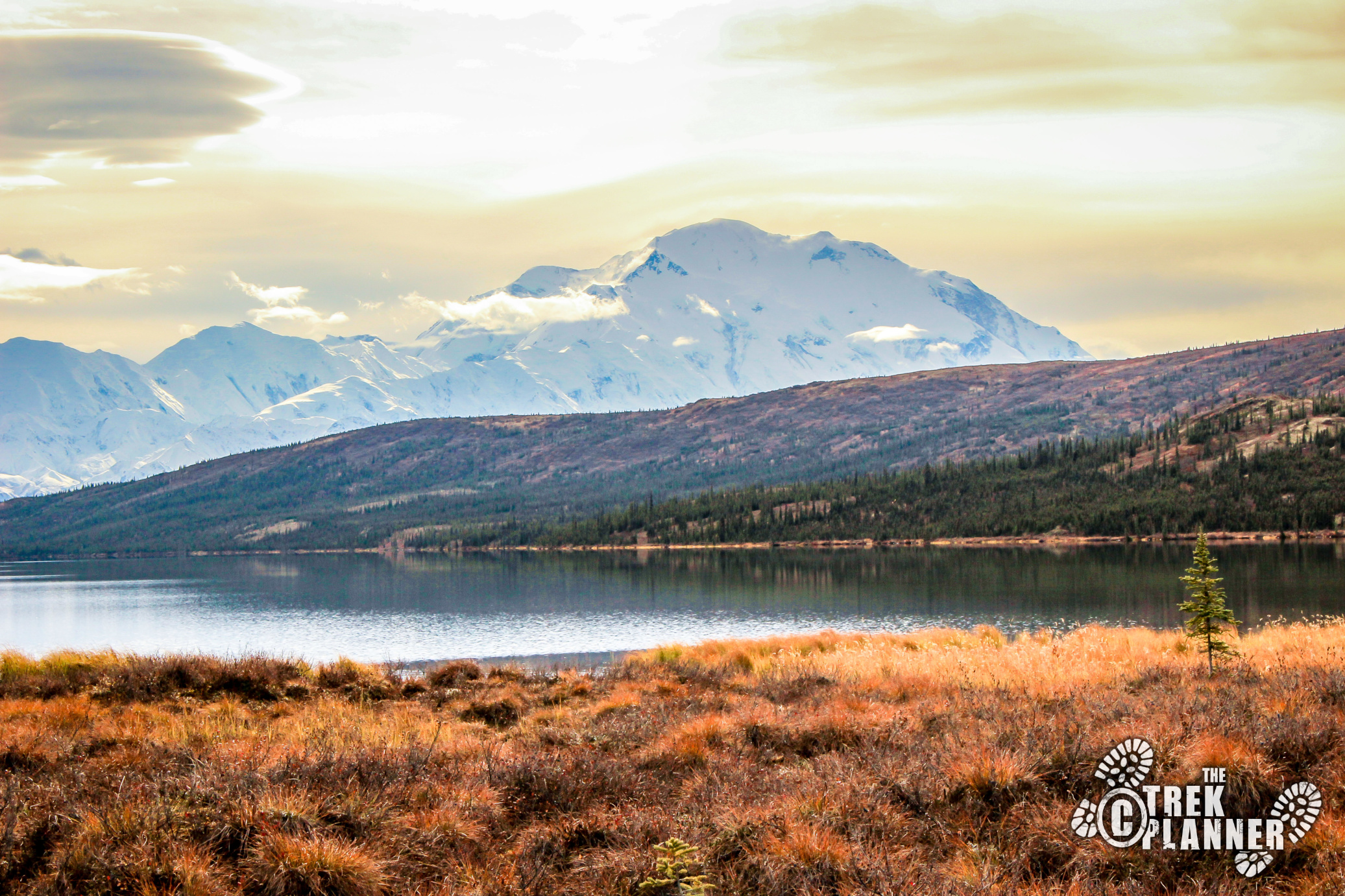Denali Alaska Area Camping Guide PDF Guide The Trek