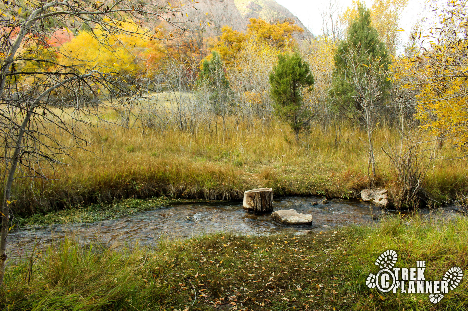 Maple Grove Campground Fishlake National Forest, Utah The Trek Planner