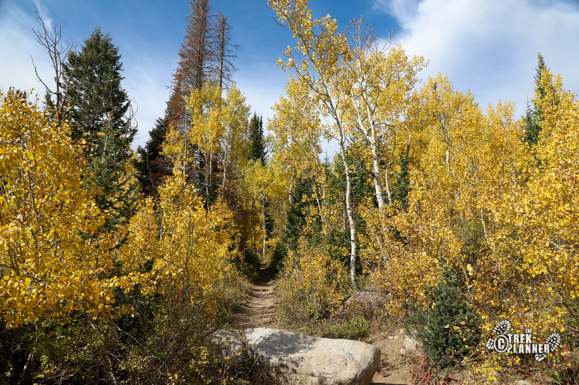 Willow Heights Trail (Willow Lake) and Dry Lake Hike Big Cottonwood