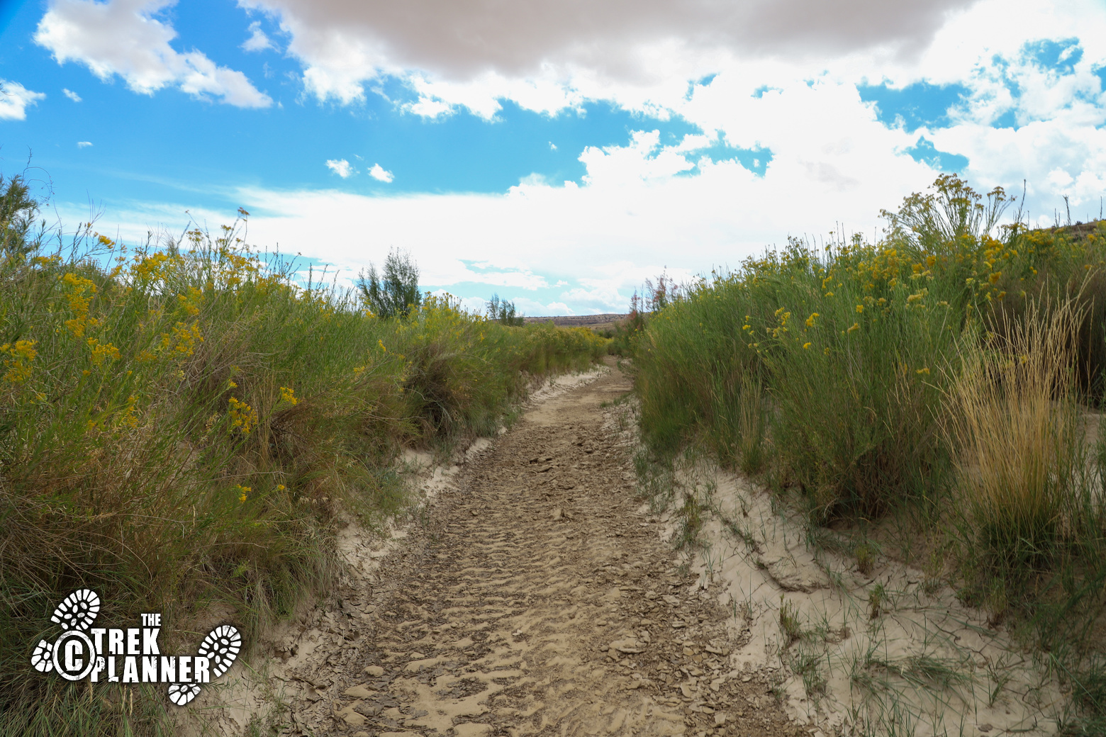Peñasco Blanco Ruins and Supernova Pictograph Hike Chaco Culture