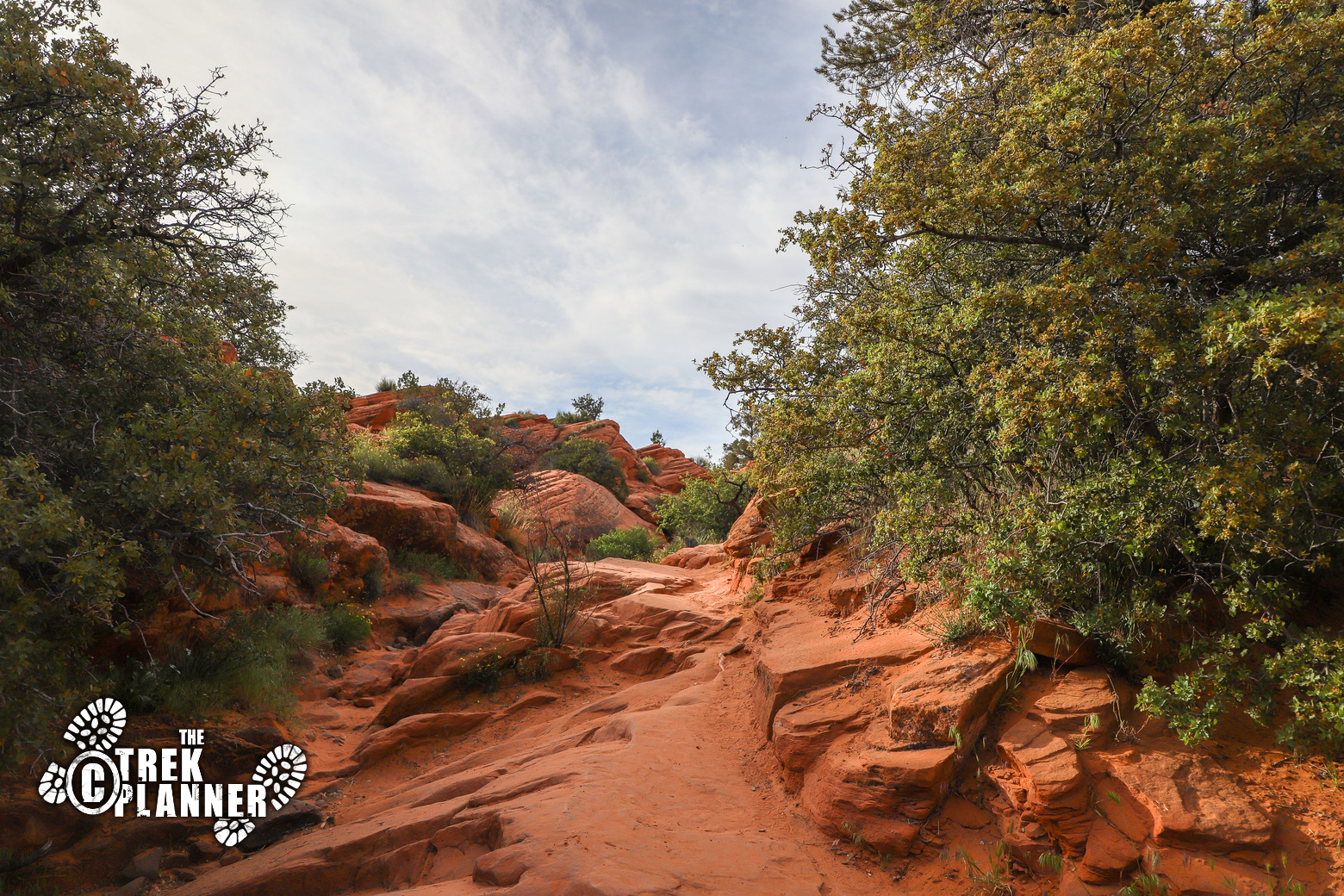 Gunlock Waterfalls St. Utah The Trek Planner