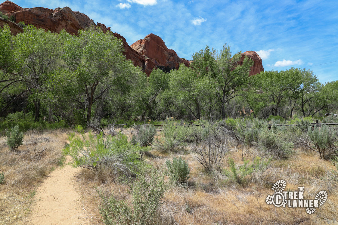 Hike to Escalante Natural Bridge Grand StaircaseEscalante National