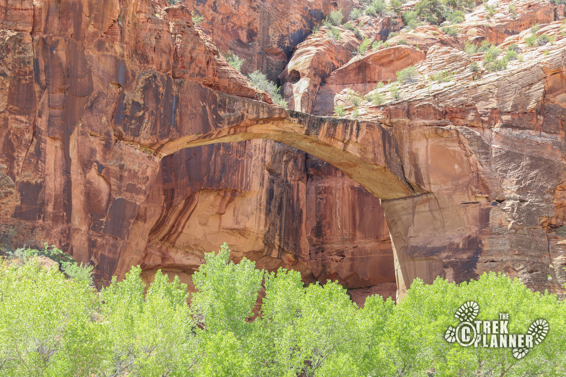 Hike to Escalante Natural Bridge Grand StaircaseEscalante National