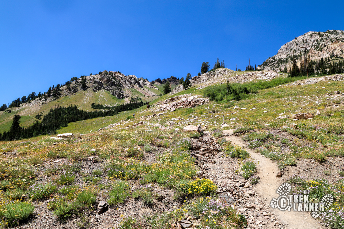 Mt. Superior Hike Little Cottonwood Canyon, Utah The Trek Planner