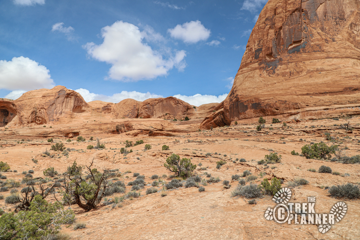 Pinto Arch Hike Moab, Utah The Trek Planner
