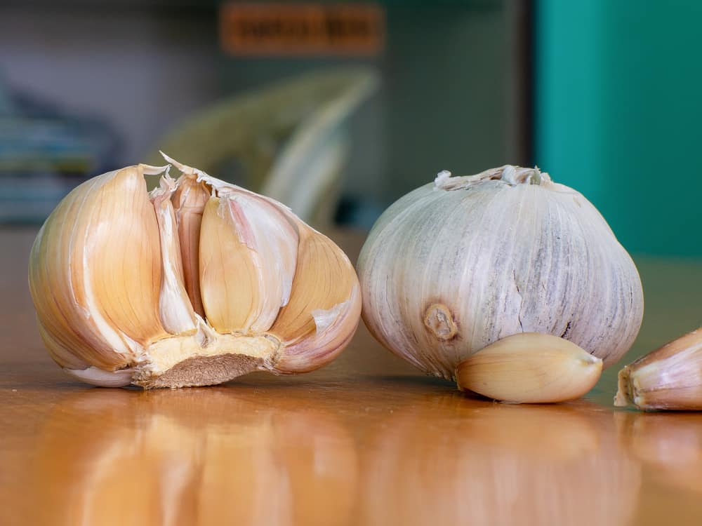 How Long Does Garlic Last In The Fridge? The Trellis