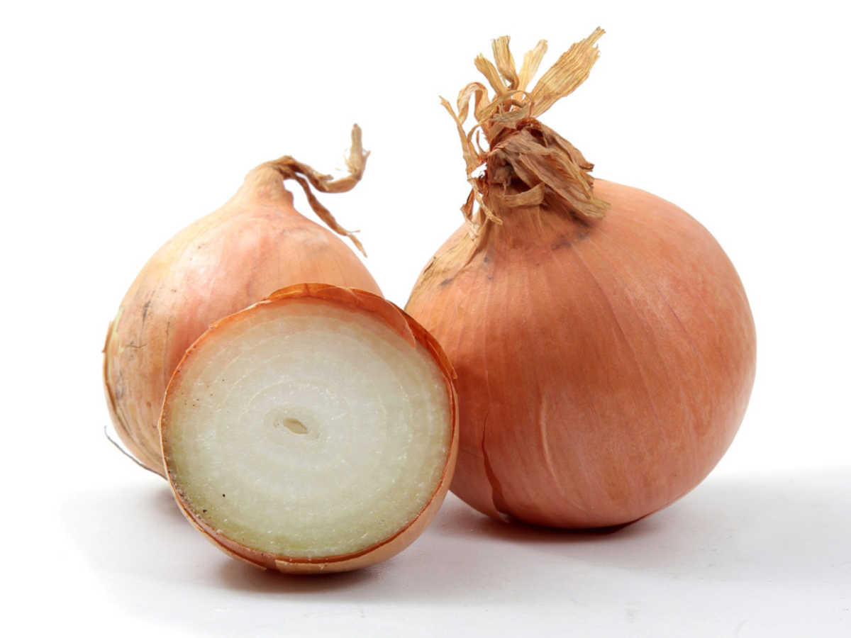 What Is A Spanish Onion? (Fun Facts) The Trellis