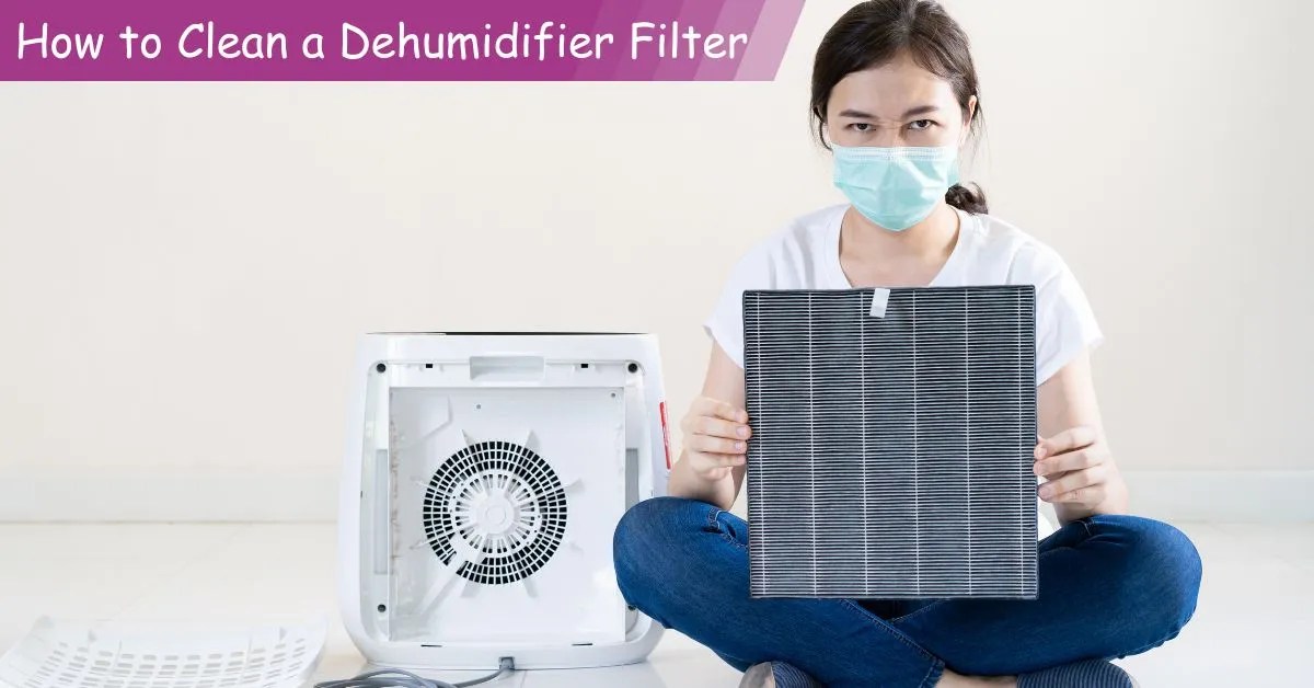 How to Clean a Dehumidifier Filter A StepbyStep Guide The Trendian