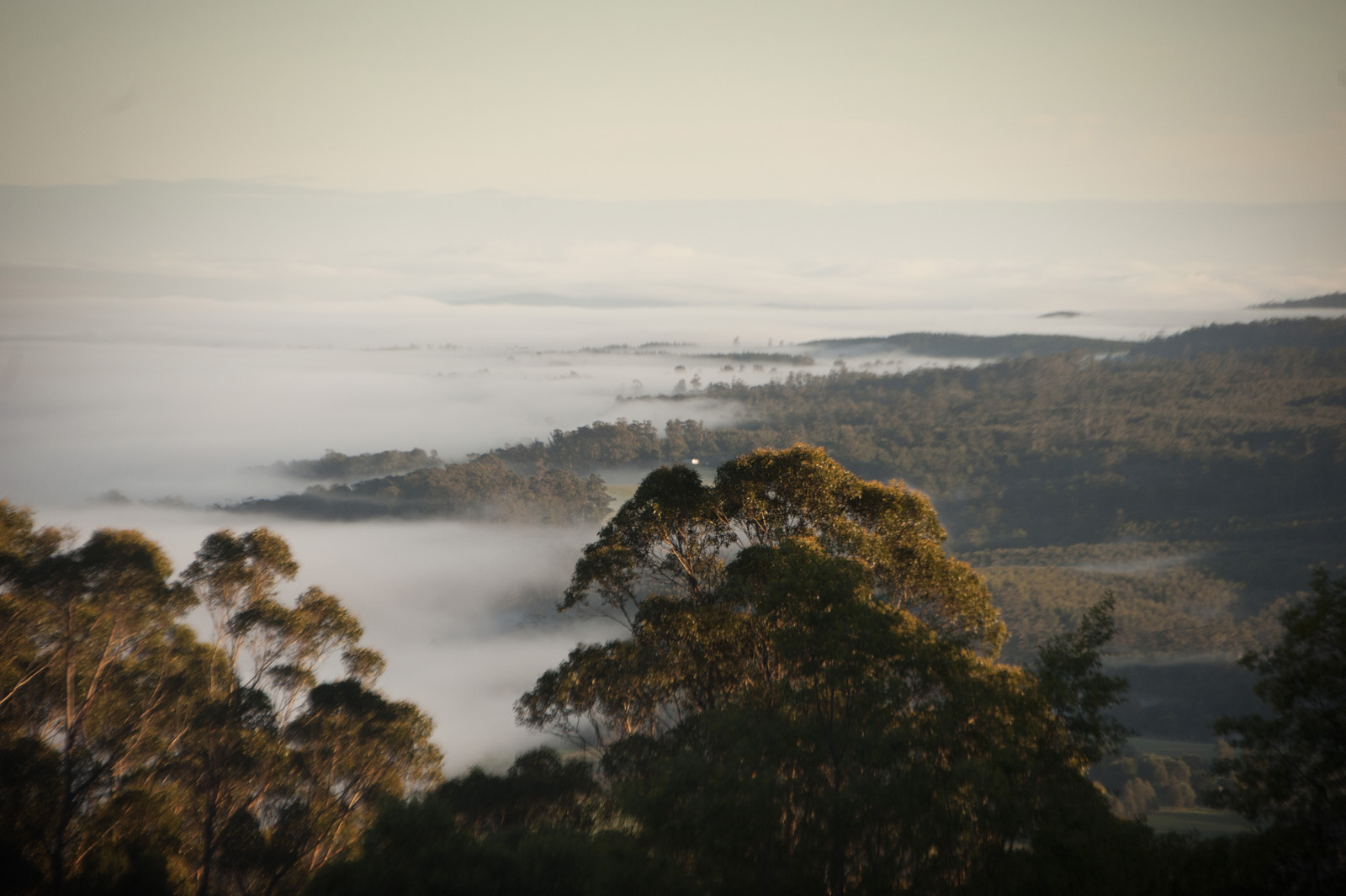 The Trig Eco Boutique Lilydale, Northern Tasmania