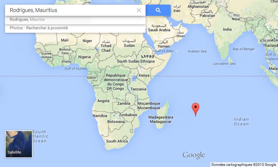 Rodrigues a magical island The Tropical Dog