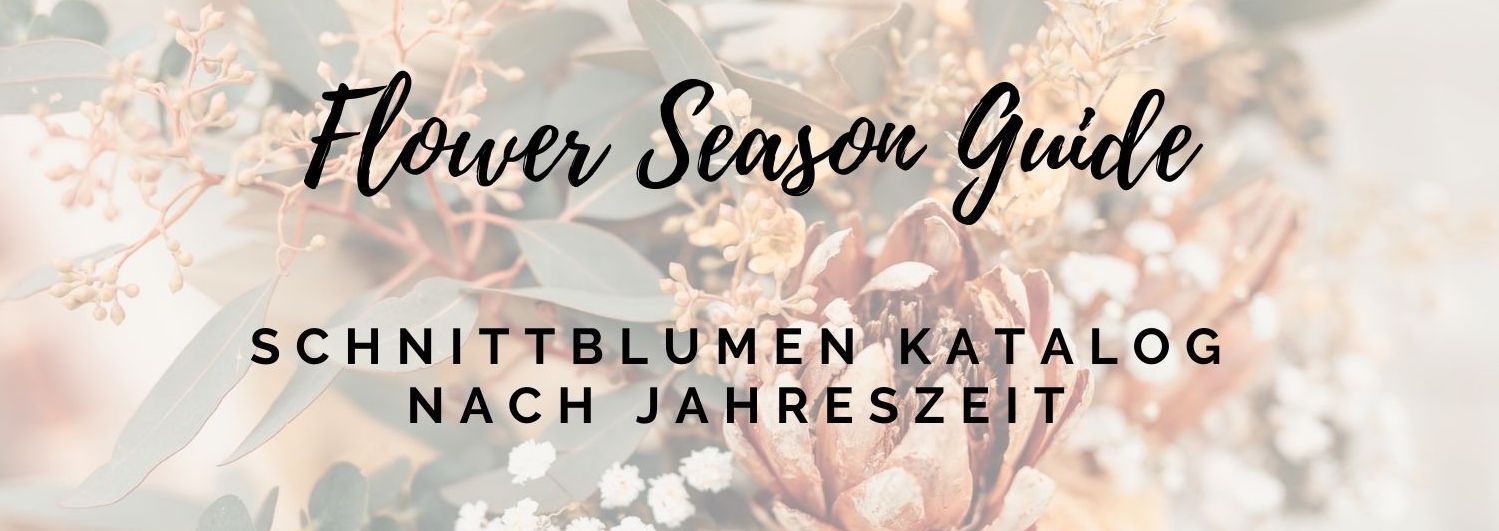 Flower Season Guide Schnittblumen für die Hochzeit nach Jahreszeit