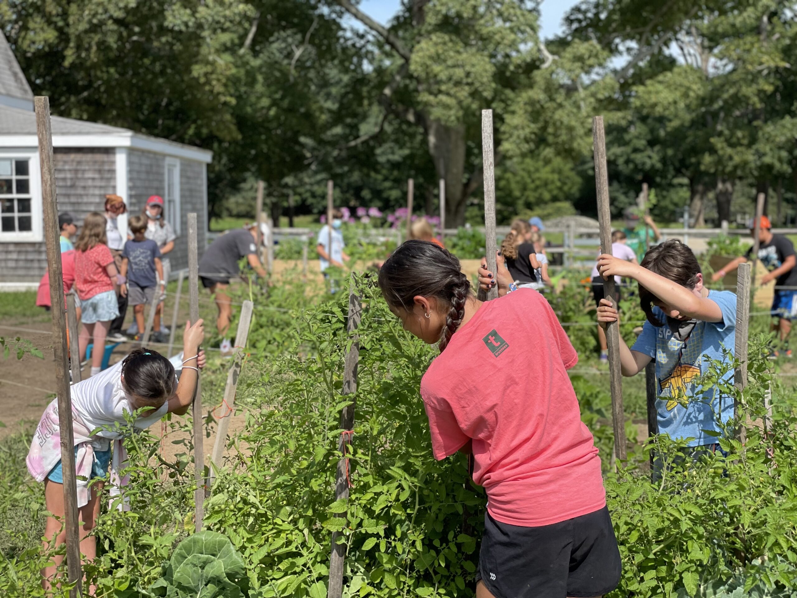 Appleton Farms Education The Trustees of Reservations