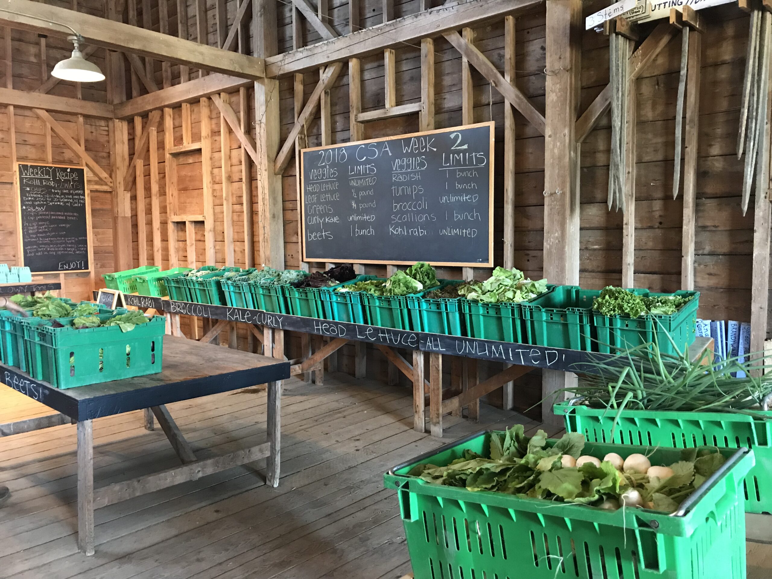 Appleton Farms Grass Rides, South Hamilton, MA The Trustees of
