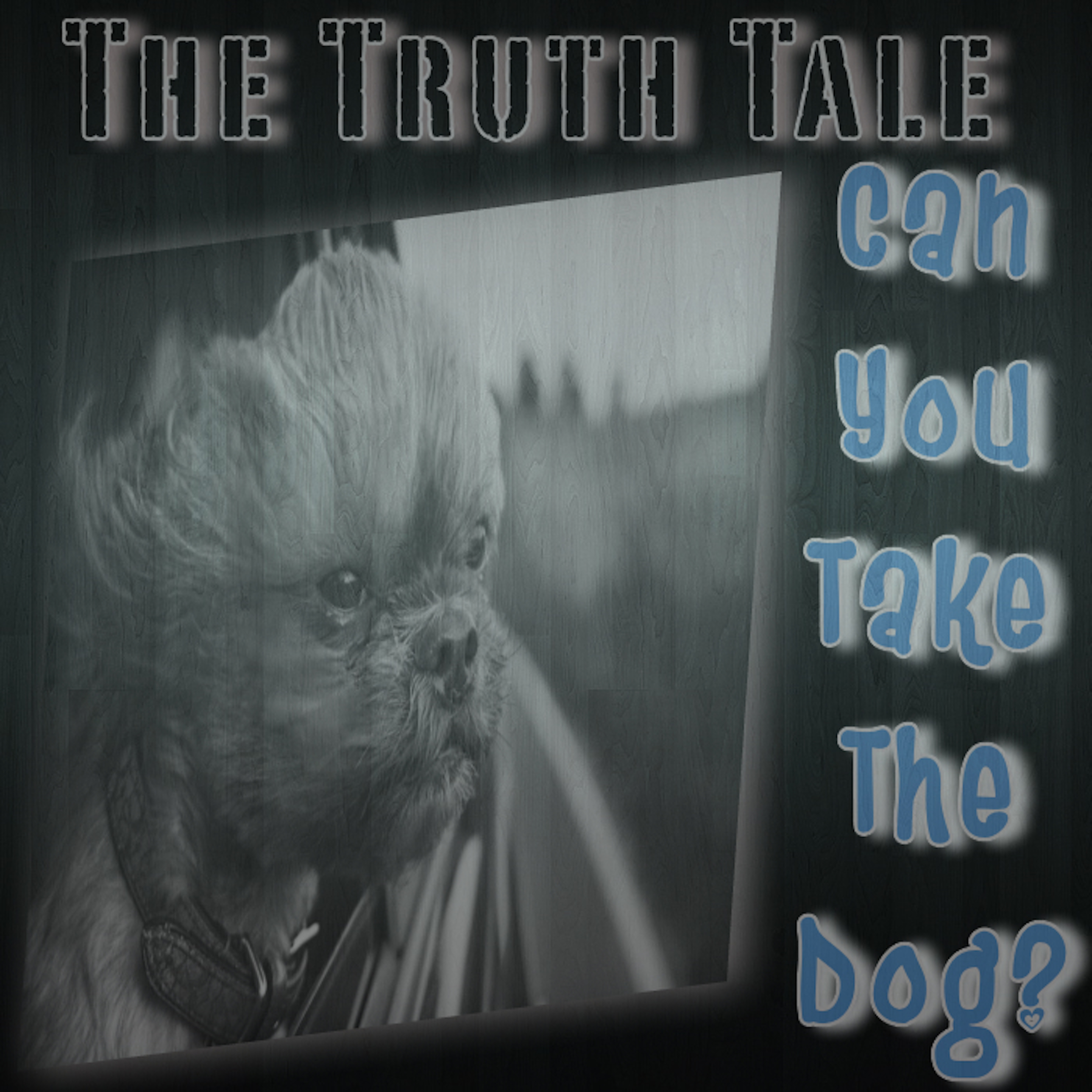 New Music Release The Truth Tale Can You Take The Dog? Music