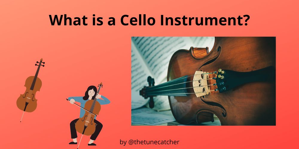 What is a Cello Instrument? Meaning, History and Facts The Tune Catcher