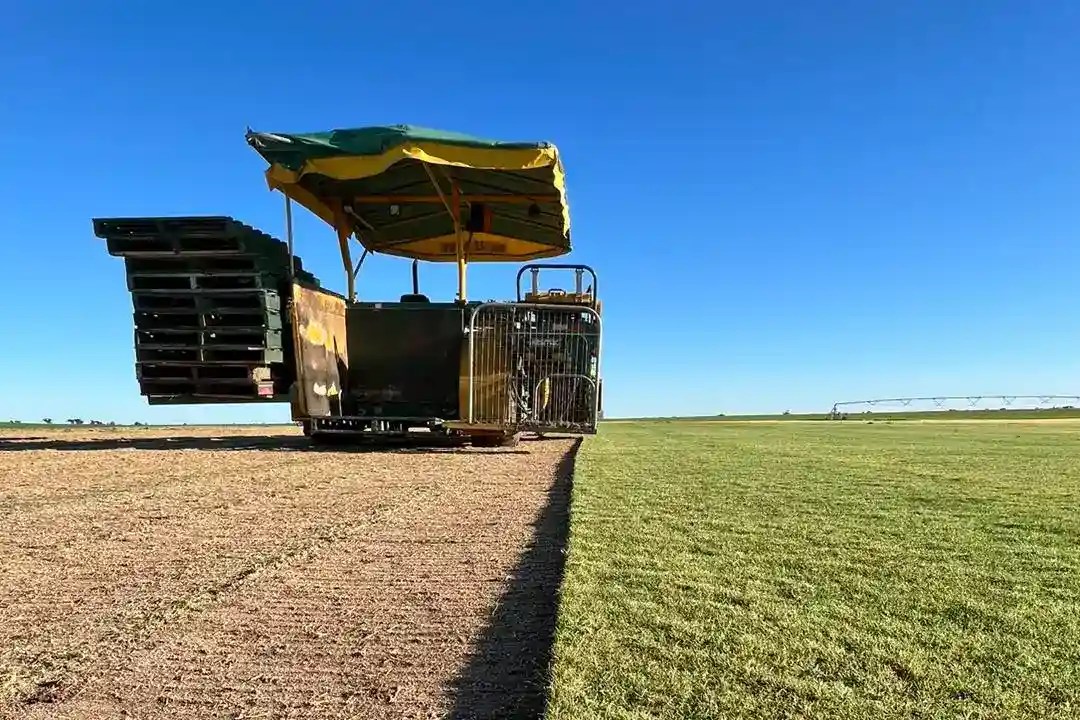 Soil Adelaide The Turf Farm