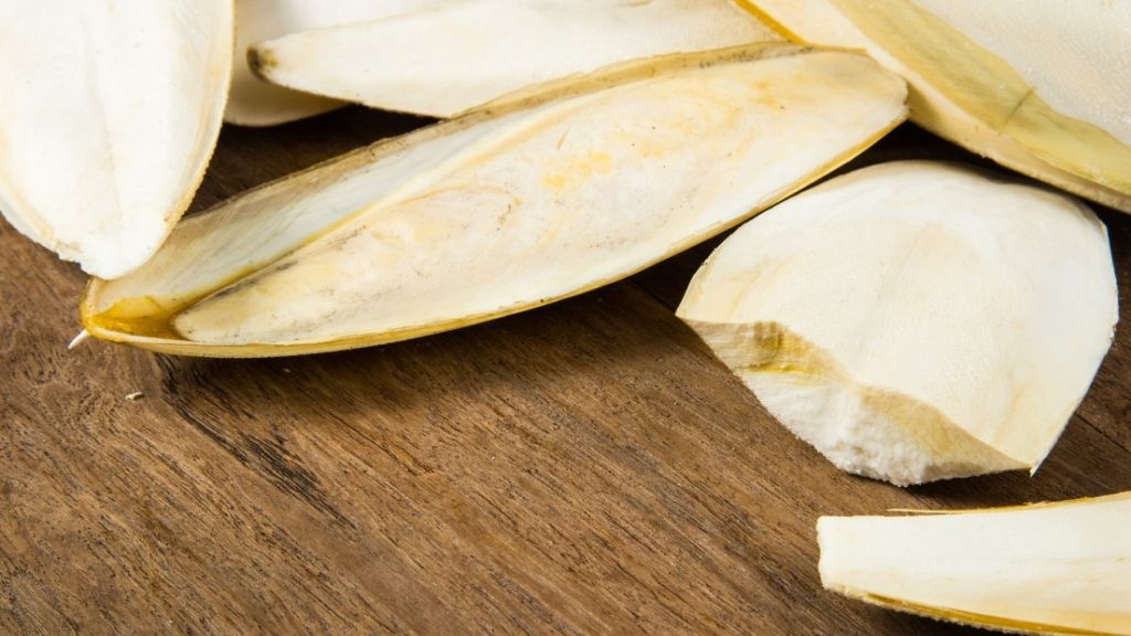 How To Provide Calcium To Turtles? [8 Sources] The Turtle Hub