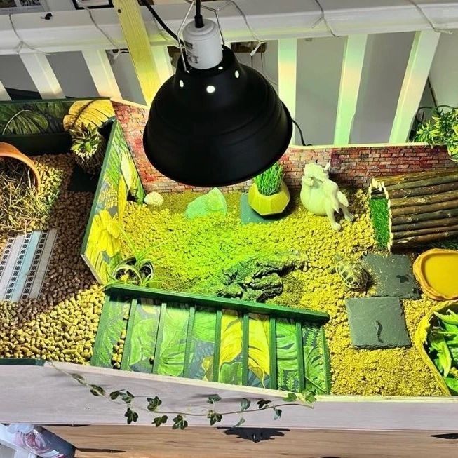 30 DIY Tortoise Enclosure Ideas For A Natural Haven The Turtle Hub