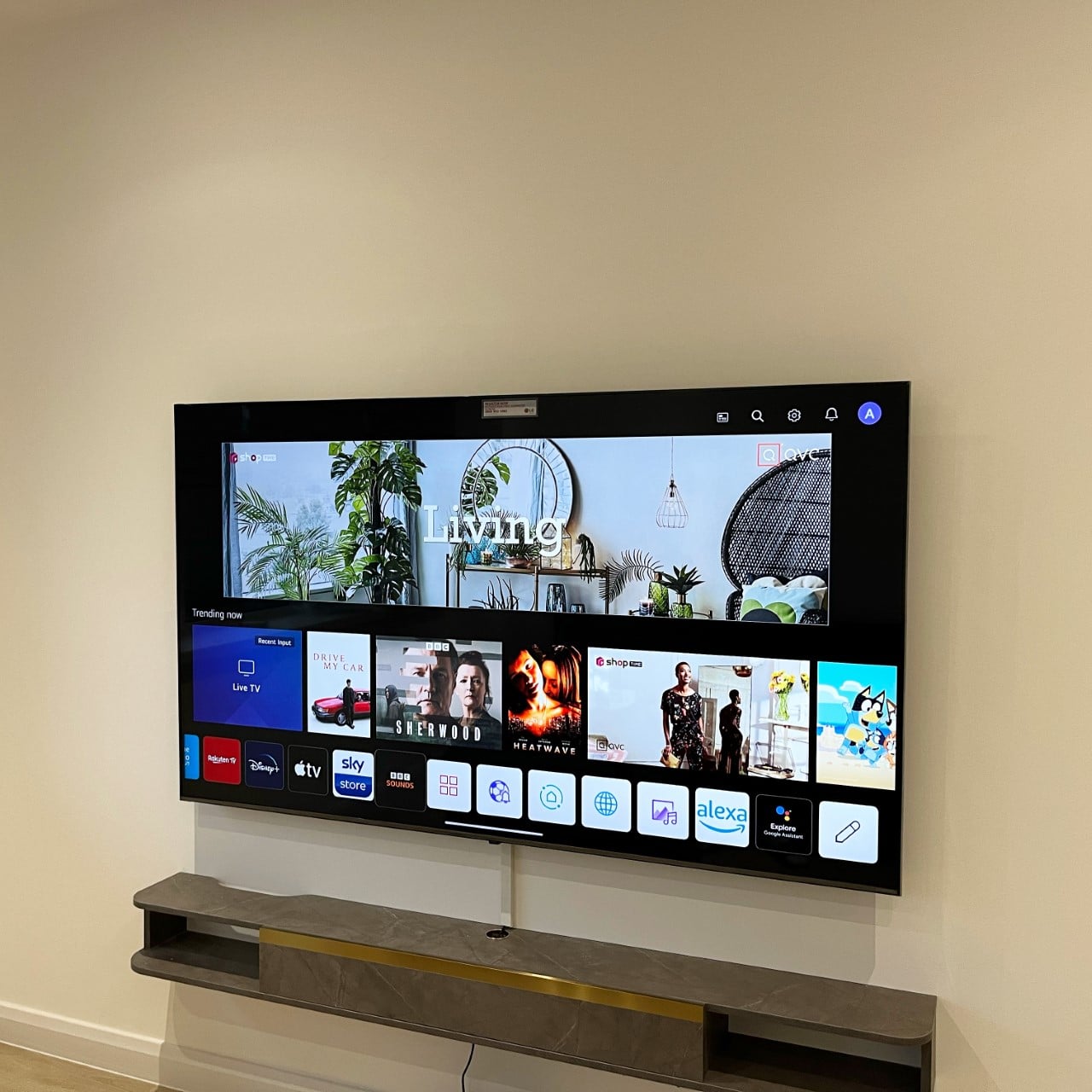 TV wall mounting service near me